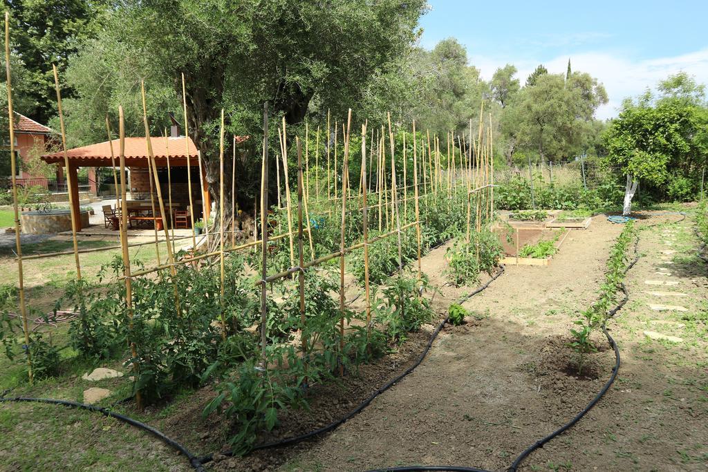 Villa Magia Ypsos Buitenkant foto