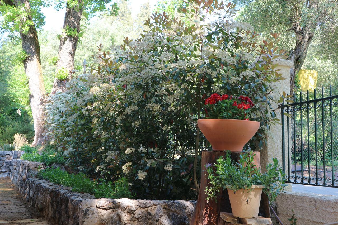Villa Magia Ypsos Buitenkant foto